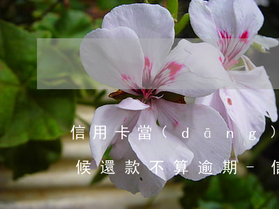 信用卡當(dāng)日什么時(shí)候還款不算逾期-信用卡當(dāng)日什么時(shí)候還款不算逾期了