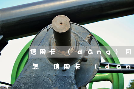 信用卡當(dāng)月不還會(huì)怎樣(信用卡當(dāng)月不還會(huì)怎樣)