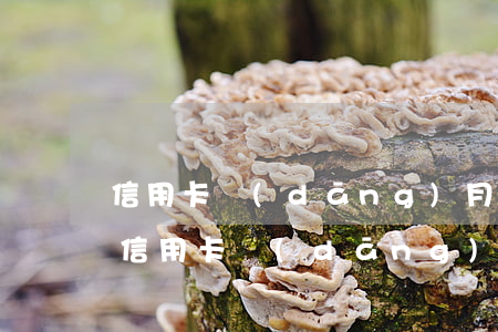信用卡當(dāng)月不還會怎么樣(如果信用卡當(dāng)月還不上會怎么樣)