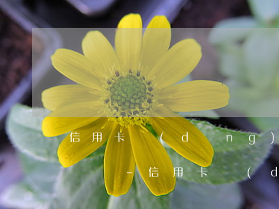 信用卡當(dāng)月還不上可以下個月還嗎-信用卡當(dāng)月還不上可以下個月還嗎