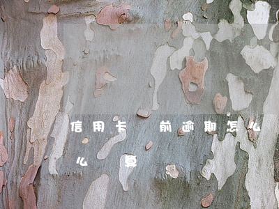 信用卡當前逾期怎么計算(信用卡當前逾期怎么計算)