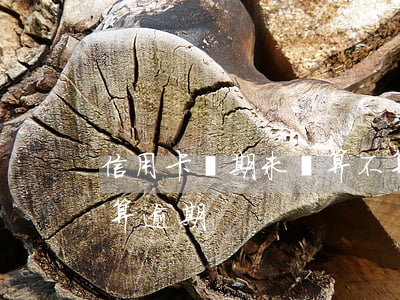 信用卡當期未還算不算逾期(信用卡1天不還算逾期)