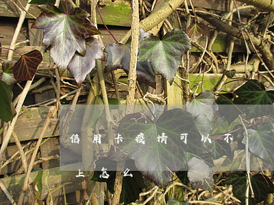 信用卡疫情可以不還嗎(疫情影響信用卡還不上怎么辦)