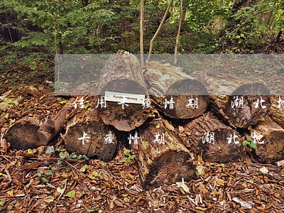 信用卡疫情期間湖北地區(qū)逾期(信用卡疫情期間湖北地區(qū)逾期)