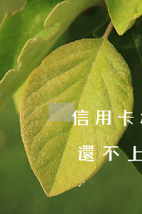 信用卡疫情期間能逾期三個月 疫情后信用卡還不上逾期幾個月了怎么處理
