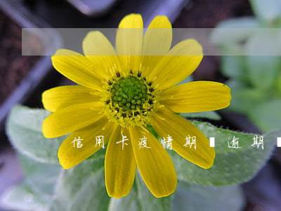 信用卡疫情期間逾期費用(疫情 信用卡逾期)