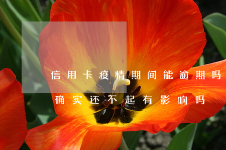 信用卡疫情期间能逾期吗(疫情期信用卡逾期,确实还不起,有影响吗)