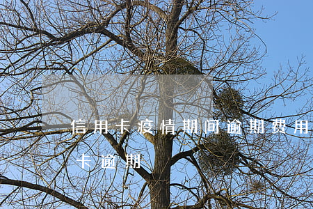信用卡疫情期间逾期费用-疫情期间的信用卡逾期