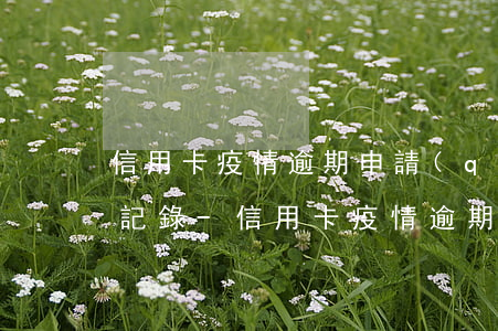 信用卡疫情逾期申請(qǐng)解除征信記錄-信用卡疫情逾期申請(qǐng)解除征信記錄怎么辦