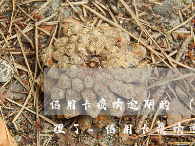 信用卡疫情逾期的現(xiàn)在怎么處理了-信用卡疫情逾期的現(xiàn)在怎么處理了呢