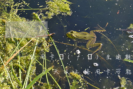 信用卡發(fā)生逾期和90天以上(逾期90天以上信用卡可能產(chǎn)生的欠款種類)