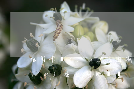 信用卡發(fā)生逾期的賬戶(信用卡發(fā)生逾期的賬戶)