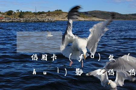 信用卡發(fā)生過(guò)逾期會(huì)影響征信嗎 信用卡發(fā)生過(guò)逾期會(huì)影響征信嗎怎么辦