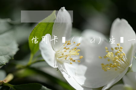 信用卡發(fā)生過一次一個月的逾期