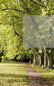 信用卡發(fā)生過逾期怎么整(信用卡發(fā)生過逾期怎么整治)