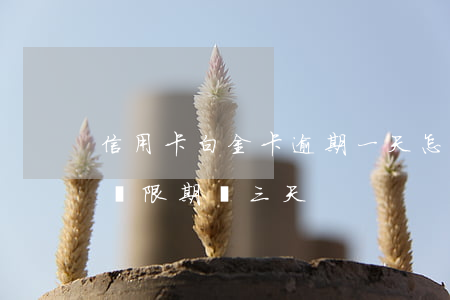 信用卡白金卡逾期一天怎么辦 白金卡的免息寬限期為三天