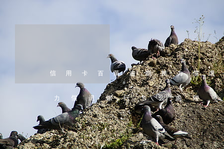 信用卡百萬逾期無力償還(信用卡欠幾十萬無力償還銀行怎么處理)