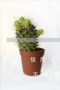 信用卡的借款可以一直不還(借別人信用卡還不起怎么辦)