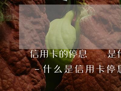 信用卡的停息掛賬是什么意思興業(yè)-什么是信用卡停息掛帳