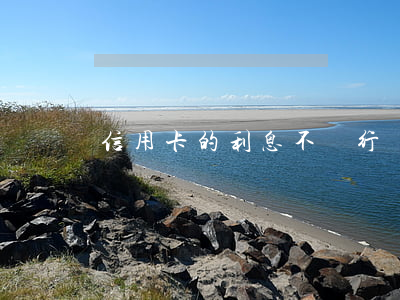 信用卡的利息不還行嗎(信用卡還利息行么)