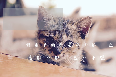 信用卡的利息能不能減免一半-信用卡的利息能不能減免一半呢