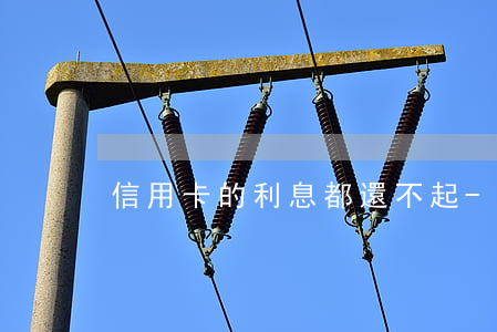 信用卡的利息都還不起-信用卡 欠款利息