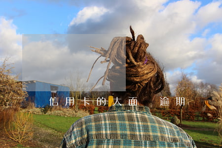 信用卡的大面積逾期