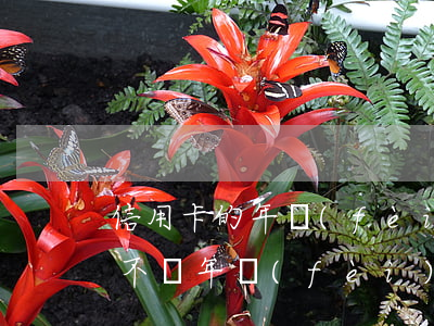 信用卡的年費(fèi)不還可以嗎(信用卡不還年費(fèi)會(huì)怎樣)