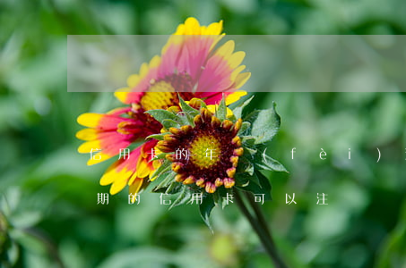 信用卡的年費(fèi)逾期能不能注銷 逾期的信用卡可以注銷嗎