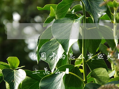 信用卡的怎么突然欠錢-欠信用卡一時還不上怎么辦