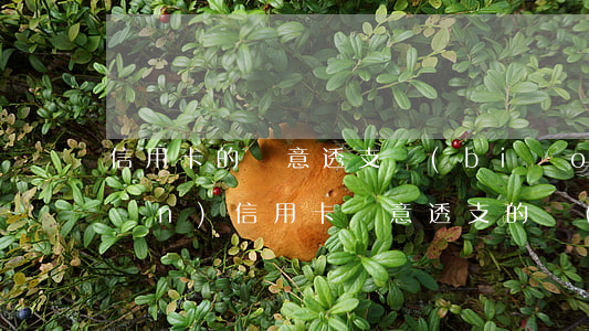 信用卡的惡意透支標(biāo)準(zhǔn)(信用卡惡意透支的標(biāo)準(zhǔn)是什么?)
