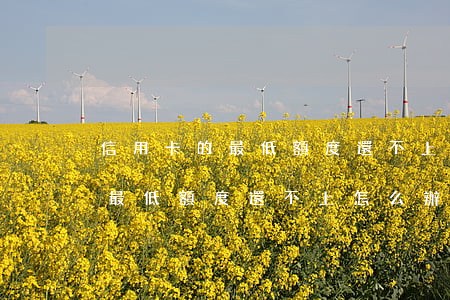 信用卡的最低額度還不上怎么辦-信用卡的最低額度還不上怎么辦呢