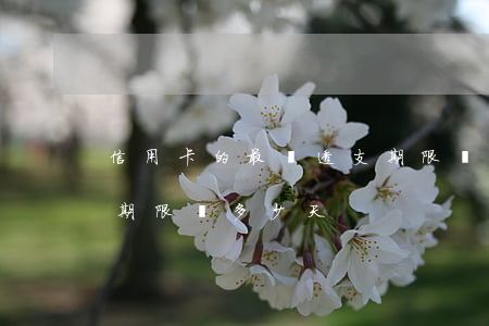 信用卡的最長透支期限為(信用卡的最長透支期限為多少天)