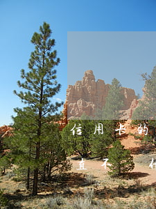 信用卡的欠款不還的后果是什么(欠信用卡一直不還什么后果)