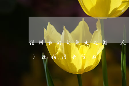 信用卡的欠款是逾期(別人欠我錢導(dǎo)致信用卡逾期)