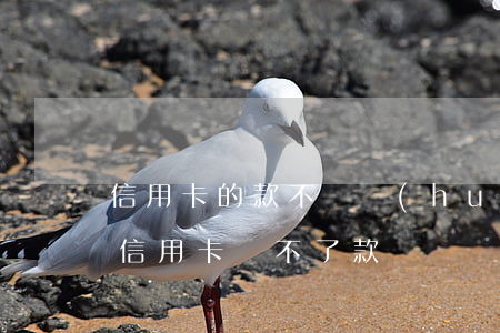 信用卡的款不還會(huì)怎么樣(為什么信用卡還不了款)