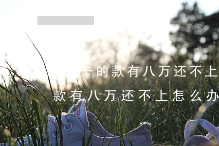 信用卡的款有八万还不上怎么办-信用卡的款有八万还不上怎么办呢