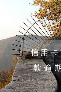信用卡的貸款逾期利息怎么算-信用卡的貸款逾期利息怎么算的