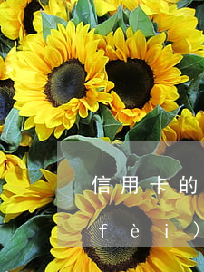 信用卡的透支利率上限為(信用卡透支消費(fèi)的利率為)