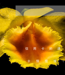 信用卡的透支和預借現(xiàn)金(信用卡預借現(xiàn)金的錢應該怎么還)