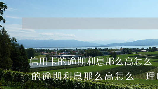 信用卡的逾期利息那么高怎么處理-信用卡的逾期利息那么高怎么處理呢