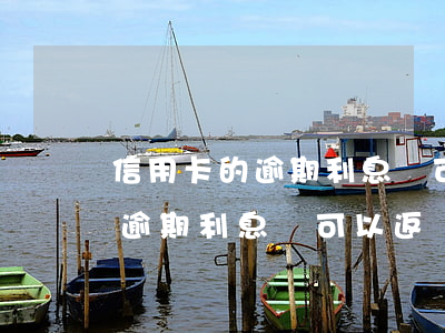 信用卡的逾期利息錢可以返還嗎-信用卡的逾期利息錢可以返還嗎怎么算