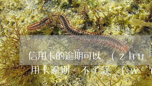 信用卡的逾期可以轉(zhuǎn)賬嗎(信用卡逾期還不了款,網(wǎng)銀轉(zhuǎn)賬都不行)
