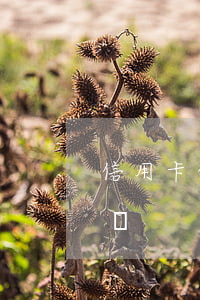 信用卡的逾期后利息多嗎(銀行卡逾期有利息嗎)