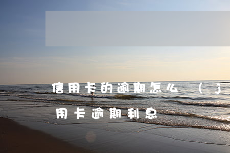 信用卡的逾期怎么結(jié)息(各銀行信用卡逾期利息)