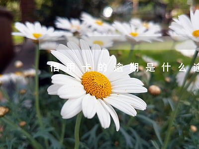信用卡的逾期是什么(逾期金額是什么意思)