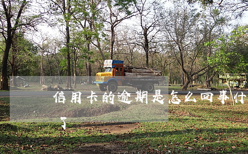 信用卡的逾期是怎么回事(什么叫信用卡逾期了)