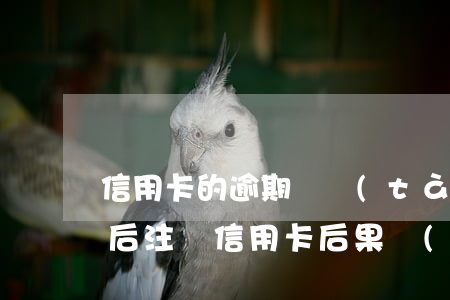 信用卡的逾期狀態(tài)會清零嗎(逾期后注銷信用卡后果嚴(yán)重)
