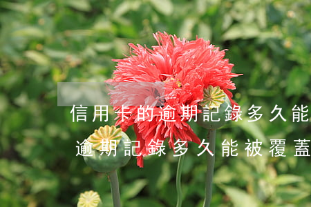 信用卡的逾期記錄多久能被覆蓋-信用卡的逾期記錄多久能被覆蓋