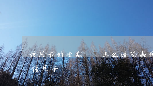 信用卡的逾期記錄怎么清除(如何處理逾期的信用卡)